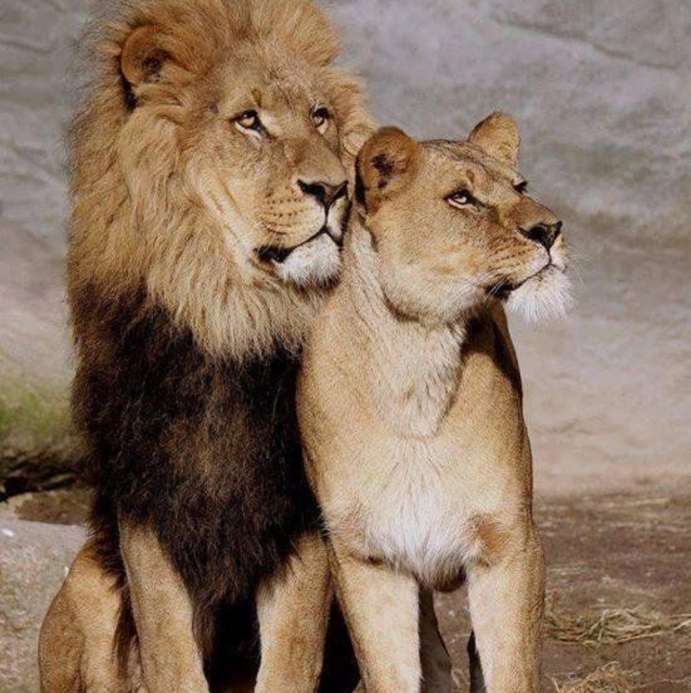 Meet your Posher, Adriana